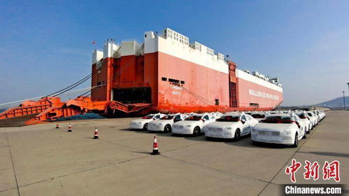 辽宁港口集团外贸商品车吞吐量大幅增长 商品车美洲航线扩容增量